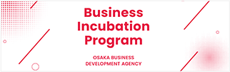 Business Incubation Program